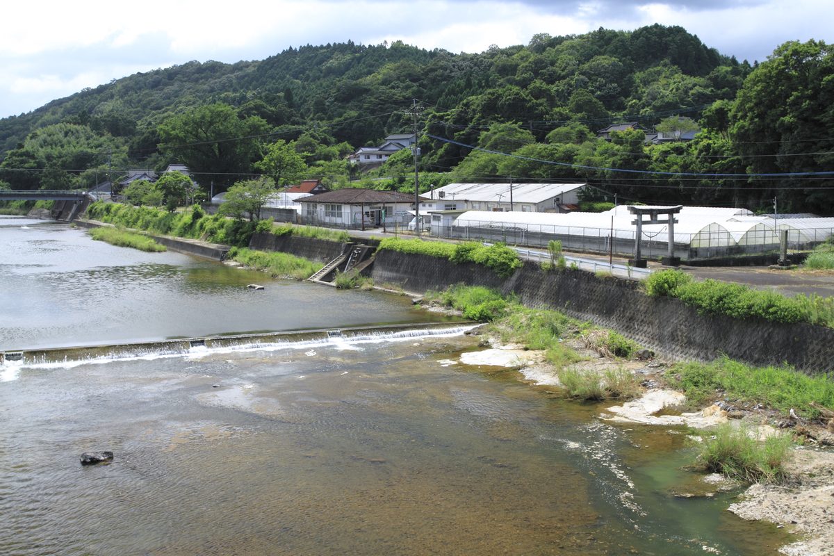 大分県安心院の清流